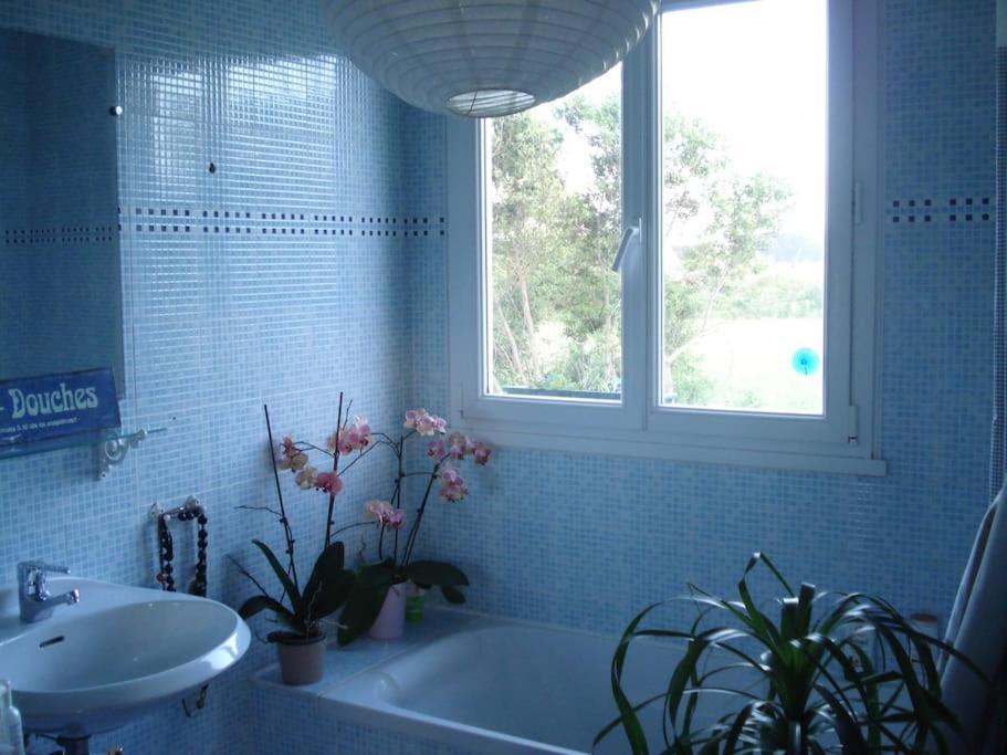 Logement Avec Jardin De Bord Mer Port Navalo Arzon Zewnętrze zdjęcie